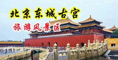 操美女嫩B中国北京-东城古宫旅游风景区